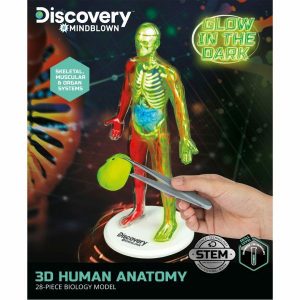 Toys for Kids | Discovery Mindblown 3D Human Anatomy