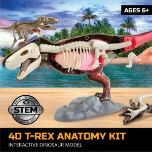 Toys for Kids | Discovery Mindblown 4D T-Rex Anatomy Kit