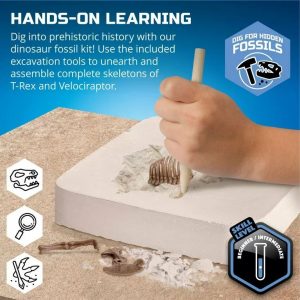 Toys for Kids | Discovery Mindblown – Toy Dinosaur Excavation Kit – Velociraptor