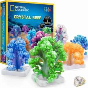 Toys for Kids | National Geographic Crystal Reef Coral Growing Lab